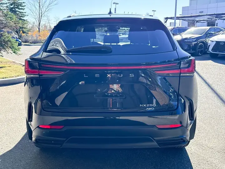 Lexus Nx 2023 photo 5
