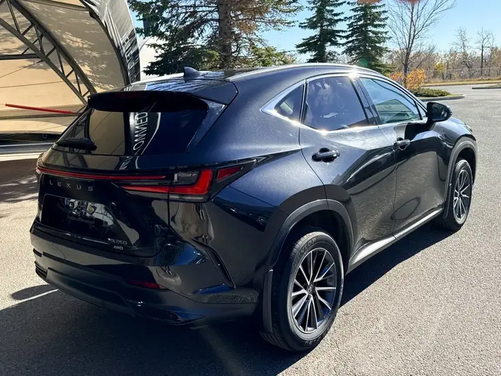 Lexus Nx 2023 photo 4