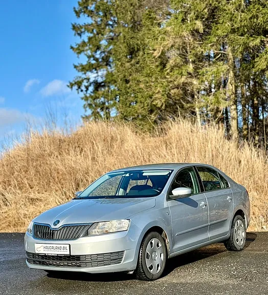 Skoda Rapid 2013 photo 3