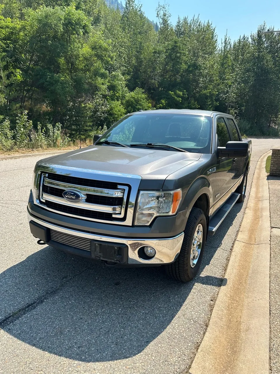 Ford F-150 2013 photo 2
