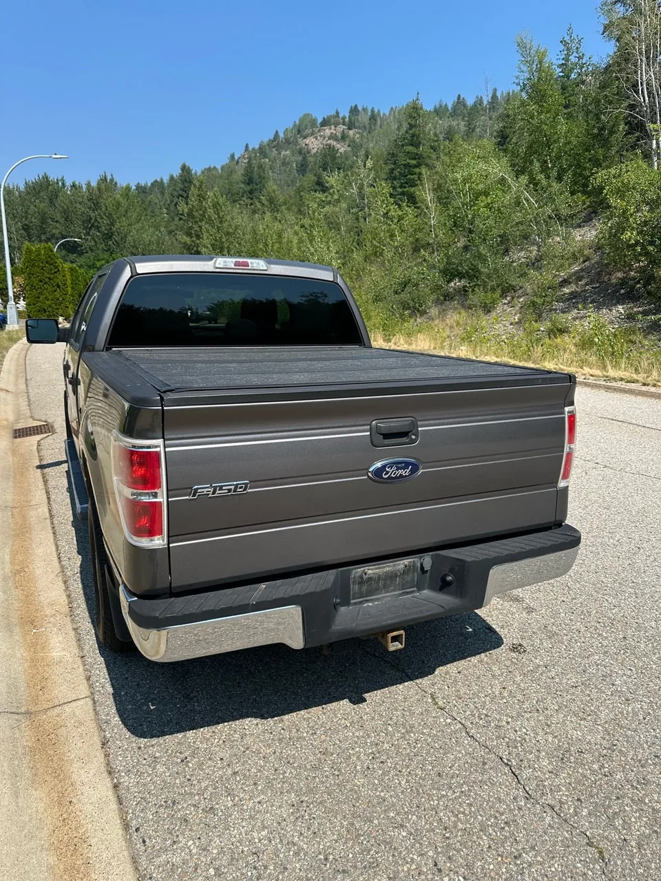 Ford F-150 2013 photo 3
