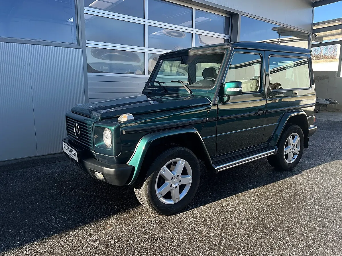 Mercedes-Benz G-Class 2004 photo 2