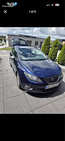 Seat Ibiza