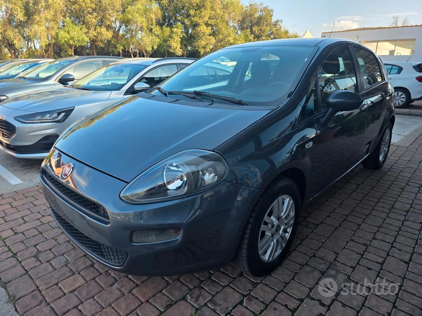 Fiat Punto