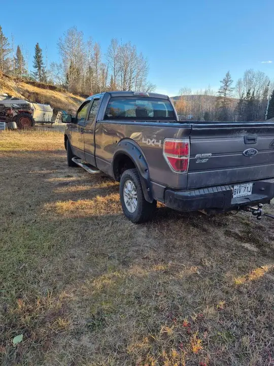 Ford F-150 2010 photo 3
