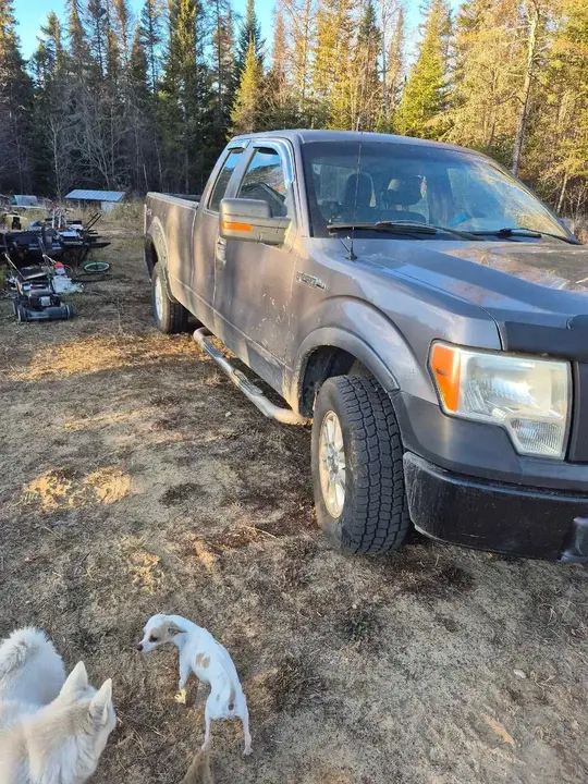 Ford F-150