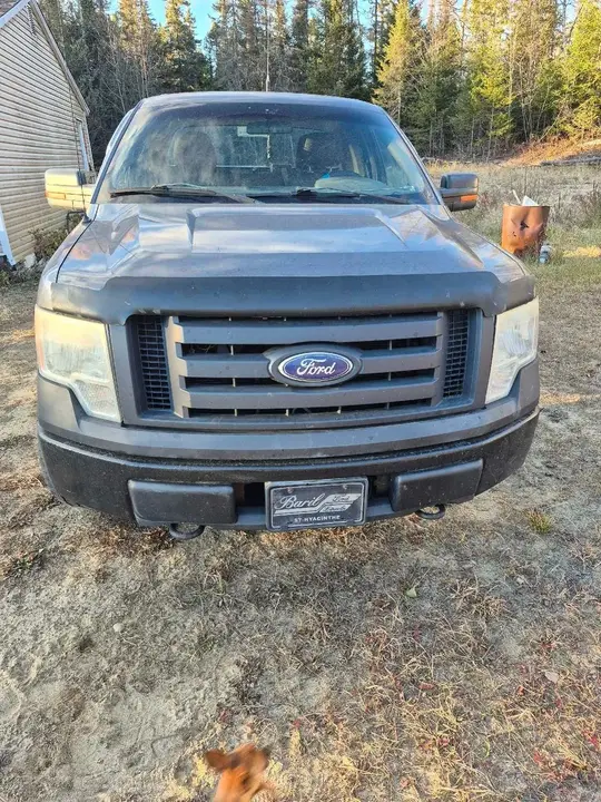 Ford F-150 2010 photo 2