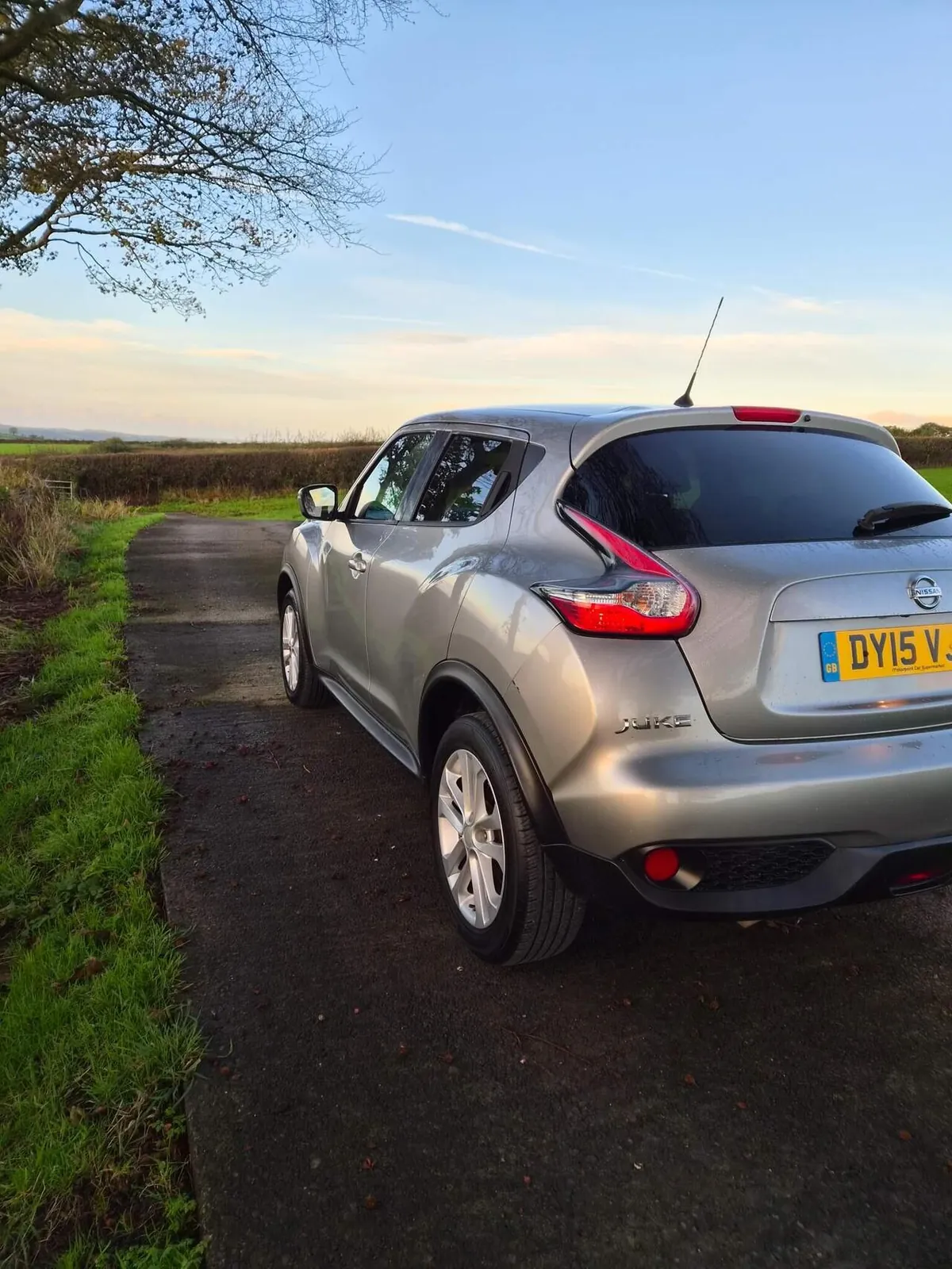 Nissan Juke 2015 photo 5