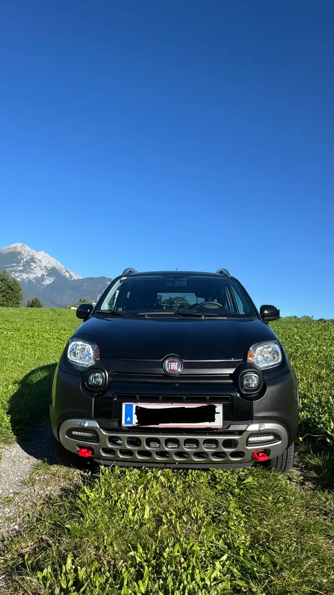 Fiat Panda 2020 photo 3