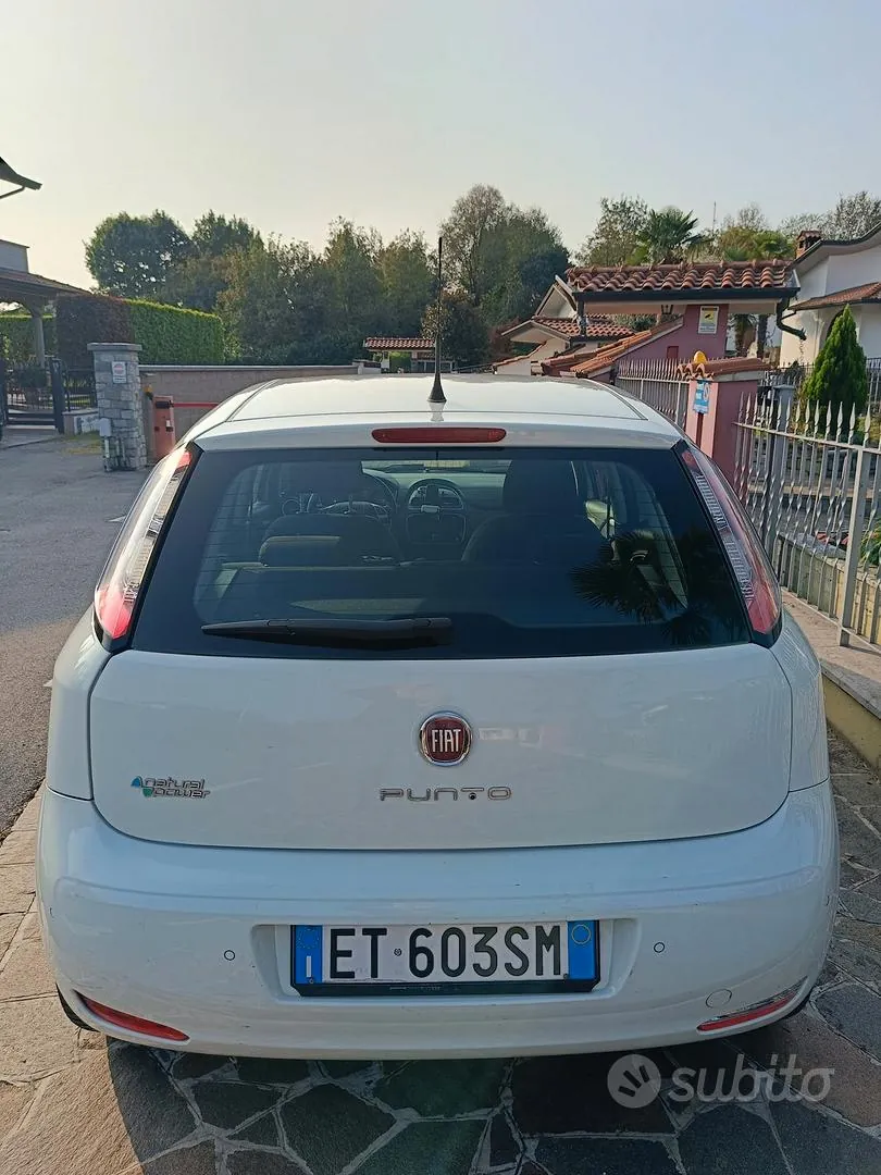 Fiat Punto 2013 photo 4