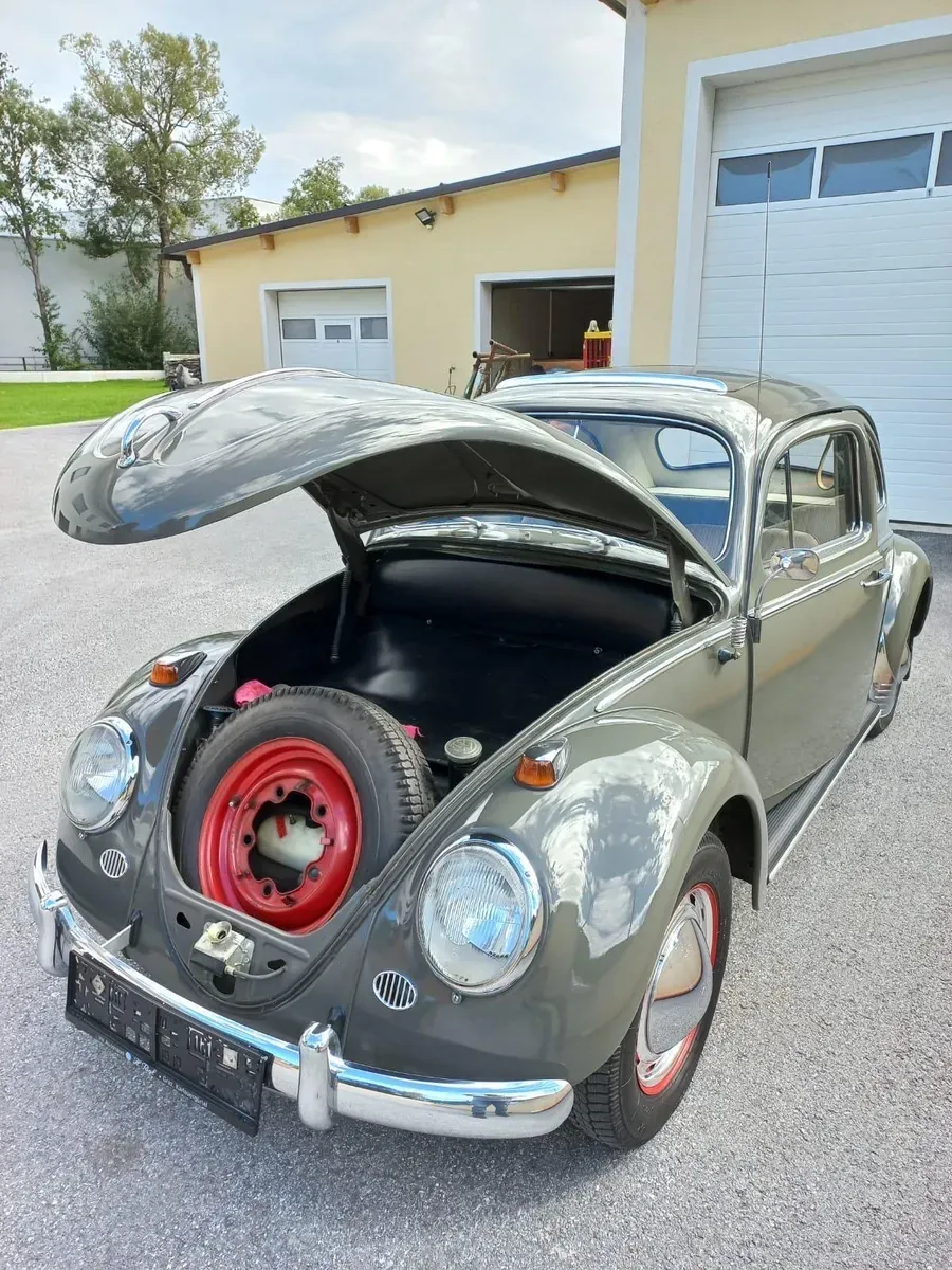 Volkswagen Käfer
