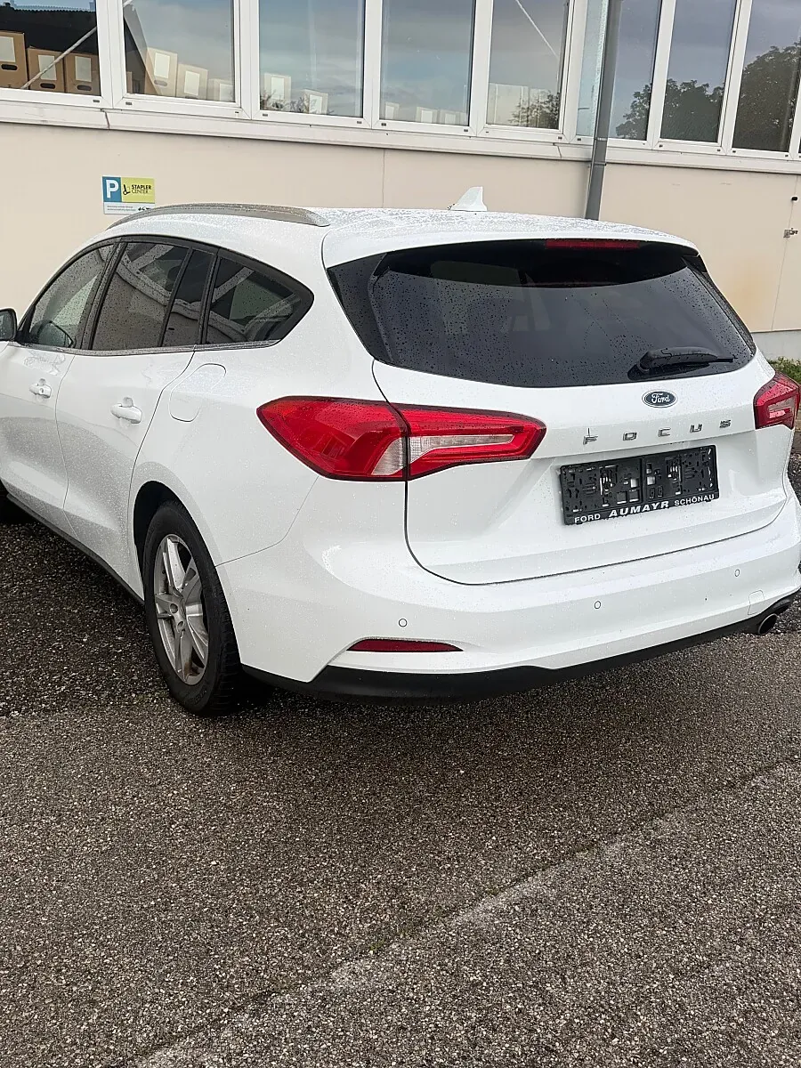 Ford Focus 2019 photo 3