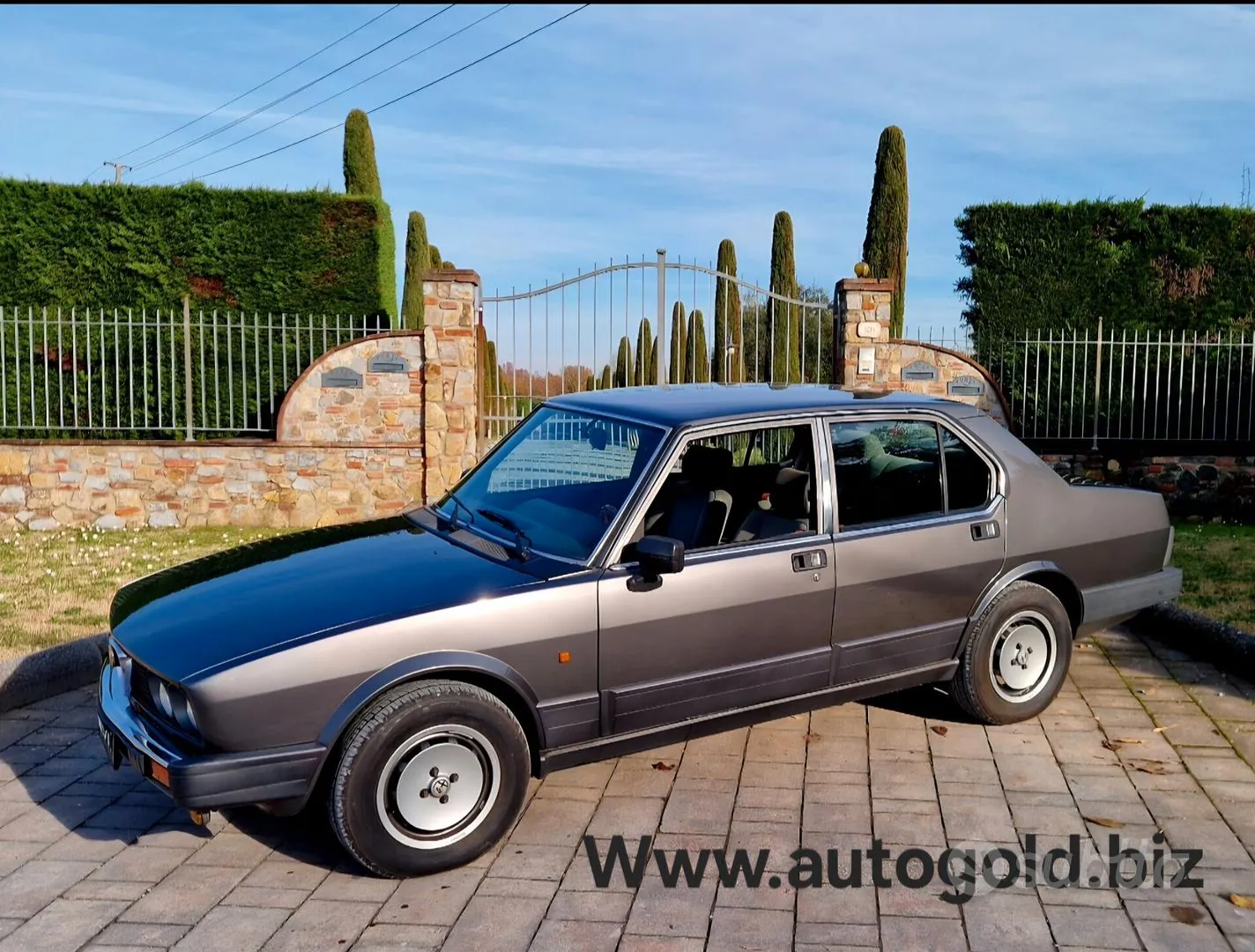 Alfa Romeo Alfetta