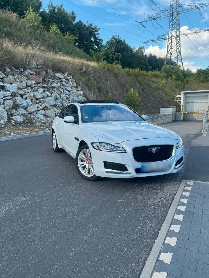 Jaguar Xf