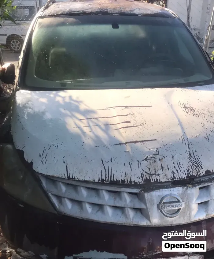 Nissan Murano 2007 photo 4