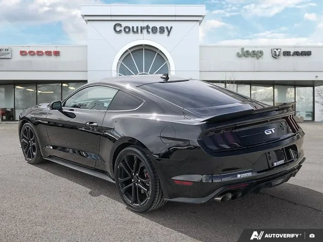 Ford Mustang Gt 2022 photo 4