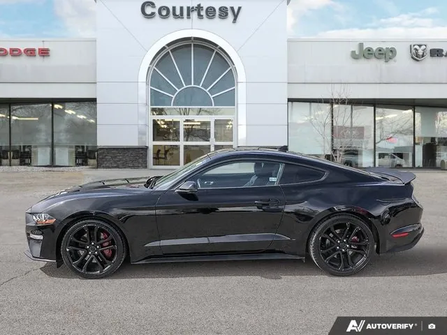Ford Mustang Gt 2022 photo 3