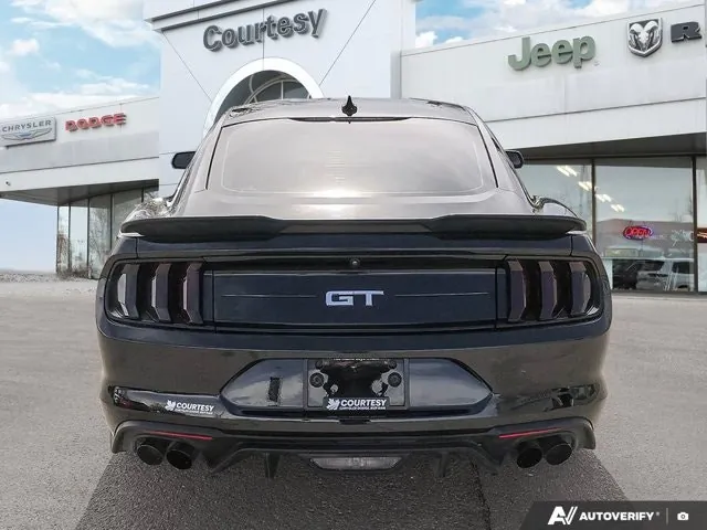 Ford Mustang Gt 2022 photo 5