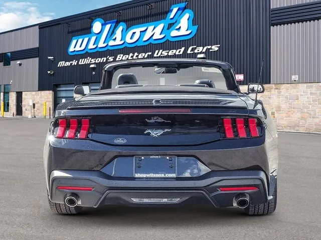Ford Mustang 2025 photo 4