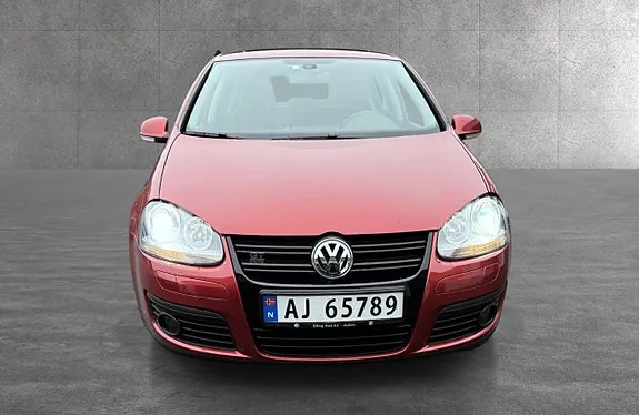 Volkswagen Golf V 2008 photo 2