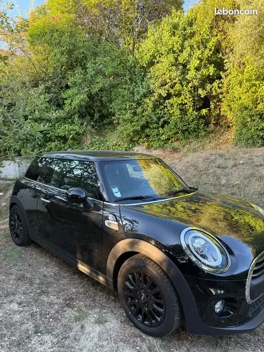 Mini Mini One