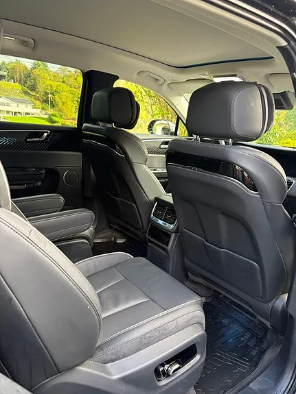 Hongqi E-Hs9 2022 photo 3