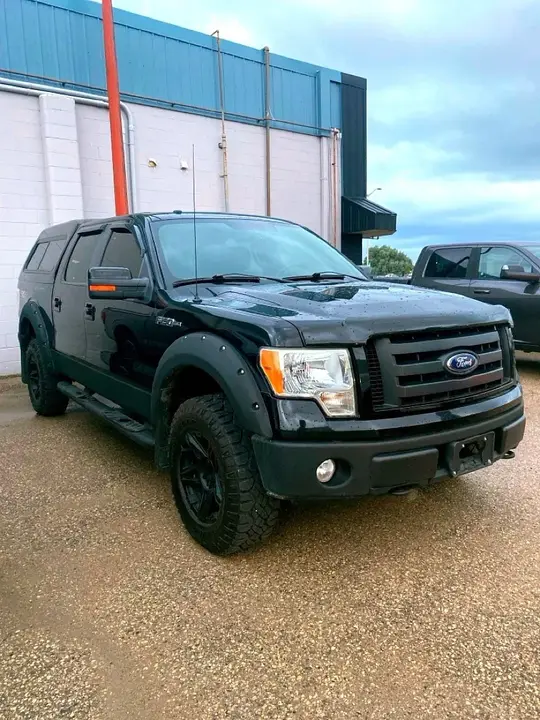 Ford F-150 2009 photo 3