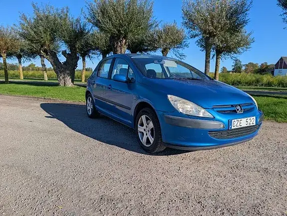 Peugeot 307 2004 photo 5