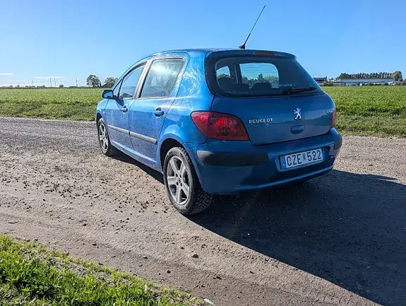 Peugeot 307 2004 photo 4