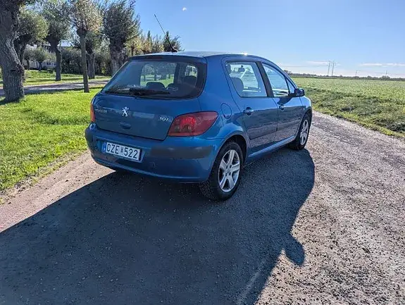 Peugeot 307 2004 photo 3