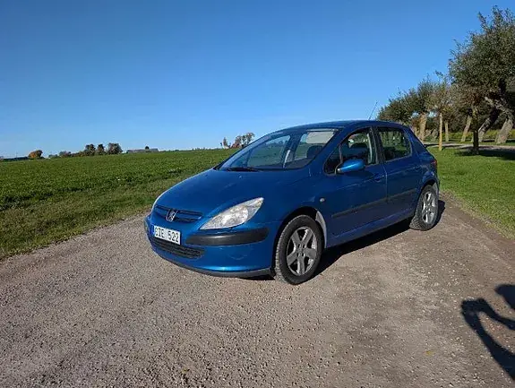 Peugeot 307 2004 photo 2