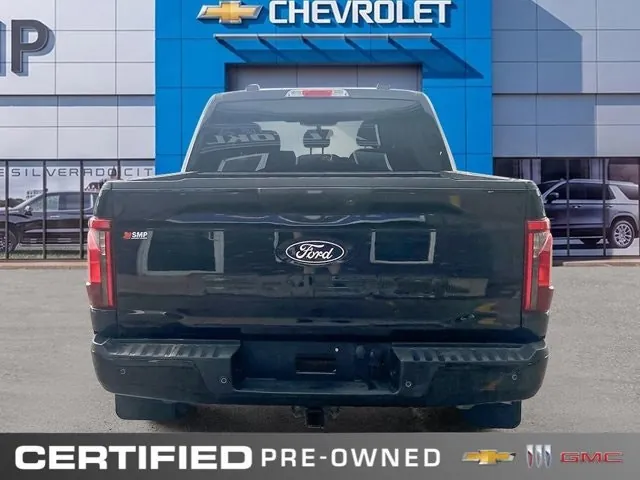 Ford F-150 2024 photo 5
