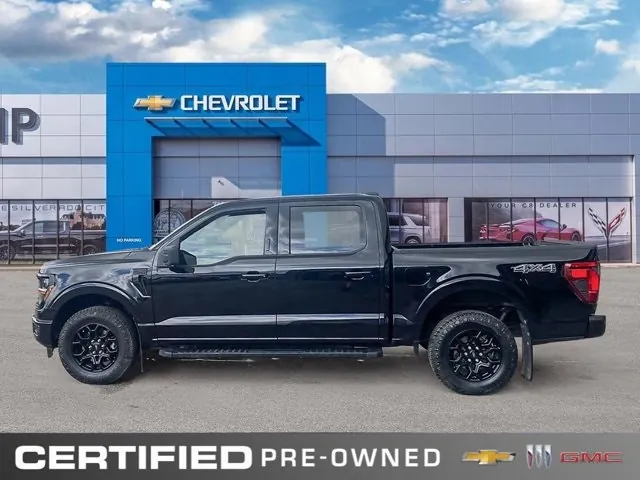 Ford F-150 2024 photo 2