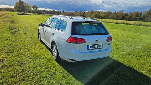 Volkswagen Golf Vii 2017 photo 4