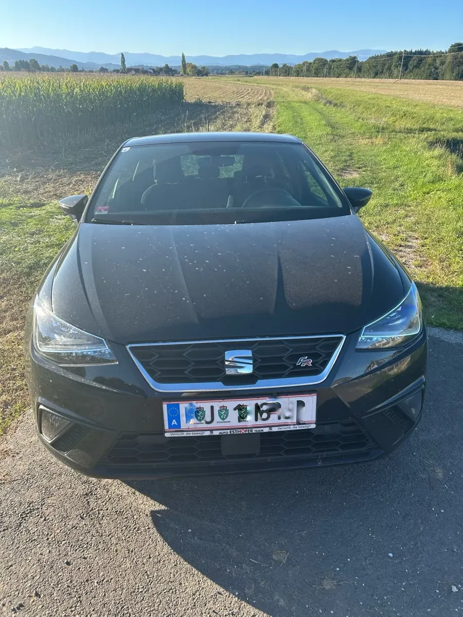 Seat Ibiza 2021 photo 2