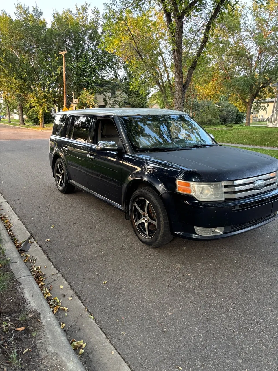 Ford Flex 2008 photo 3