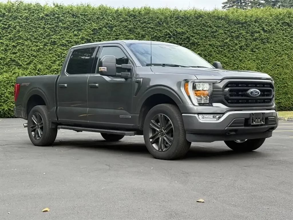 Ford F-150 2022 photo 3