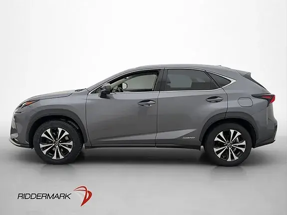 Lexus Nx300H 2021 photo 4