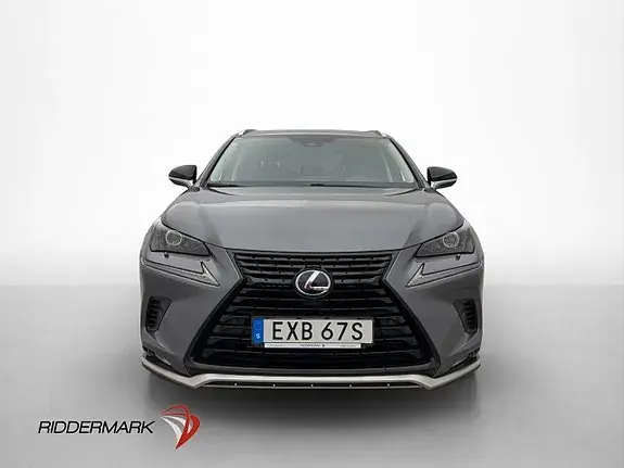 Lexus Nx300H 2021 photo 2