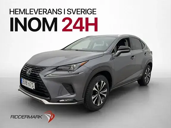 Lexus Nx300H 2021 photo 3