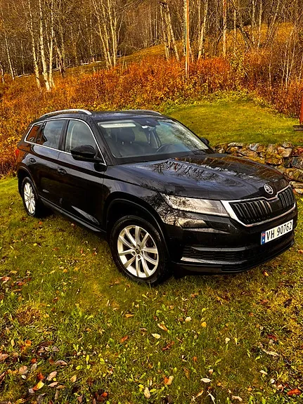 Skoda Kodiaq 2018 photo 2