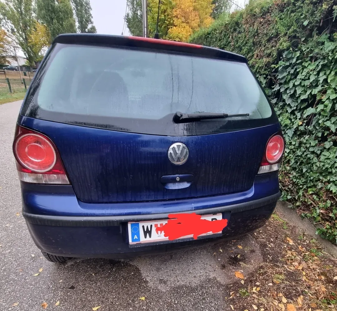 Volkswagen Polo 2008 photo 2