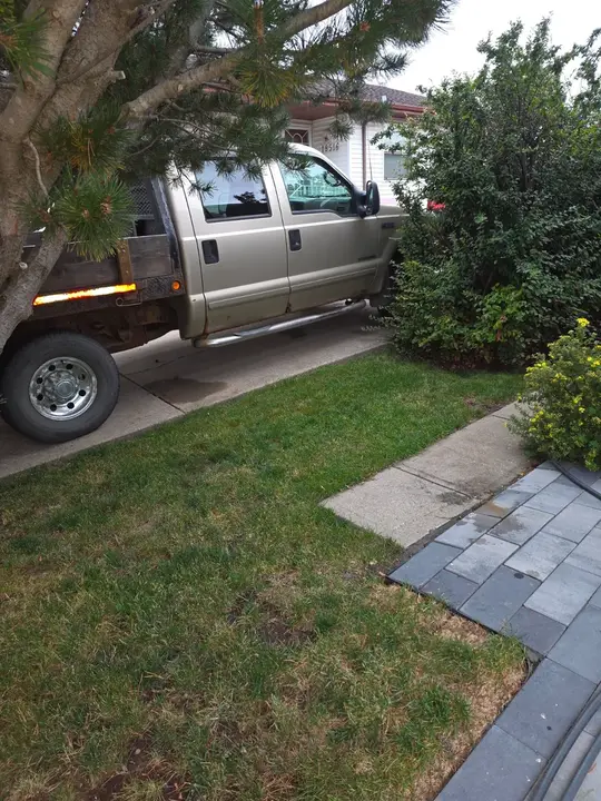 Ford F250 2001 photo 3