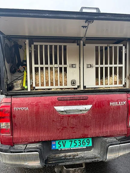 Toyota Hilux 2016 photo 2