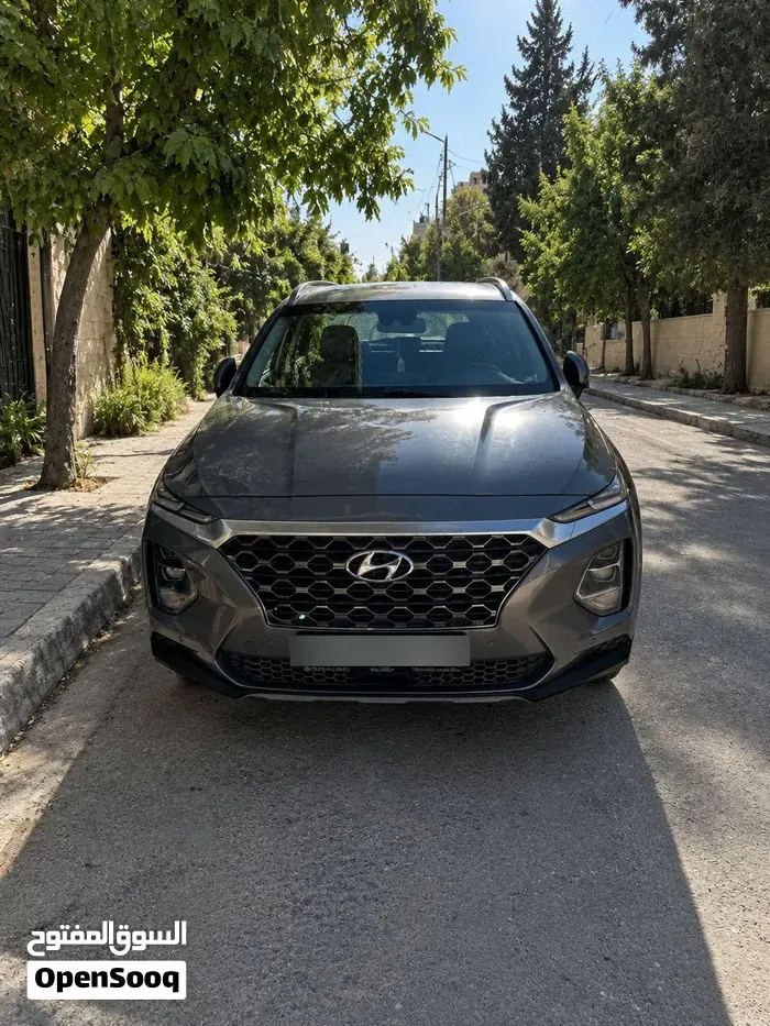 Hyundai Santa Fe 2019 photo 5