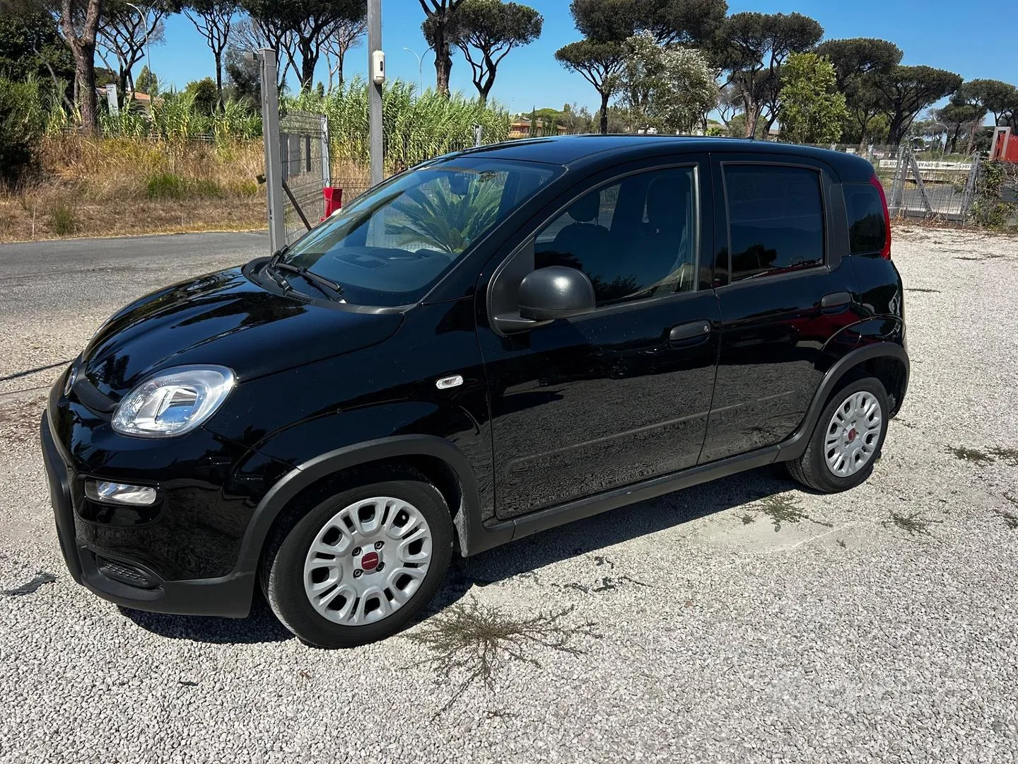 Fiat Panda 2024 photo 2