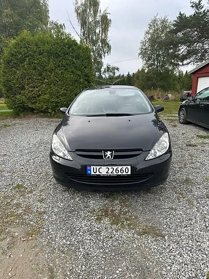 Peugeot 307 2005 photo 2