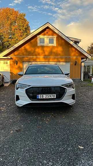 Audi E-Tron 2020 photo 4