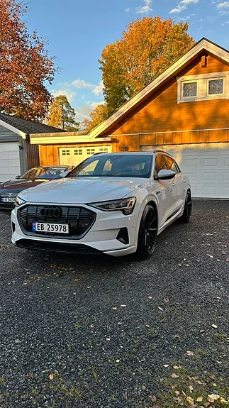 Audi E-Tron 2020 photo 5