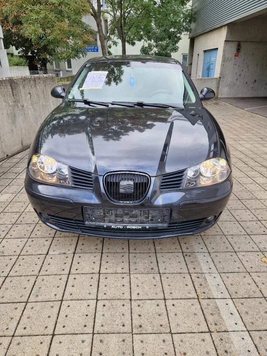 Seat Ibiza 2006 photo 2
